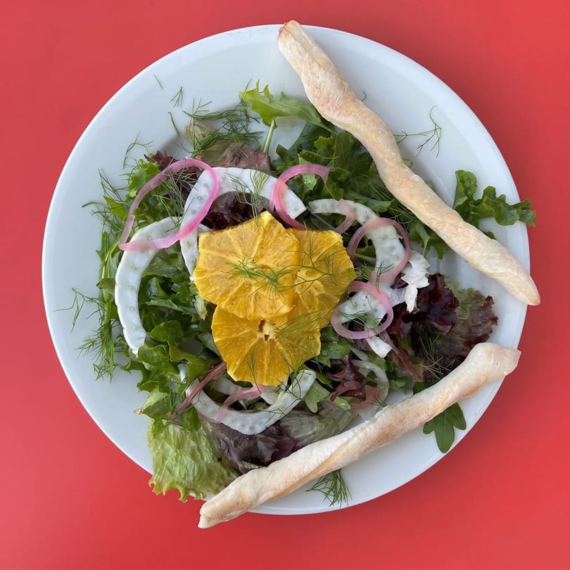 A fresh salad with mixed greens, orange slices, red onions, and fennel, served with breadsticks.